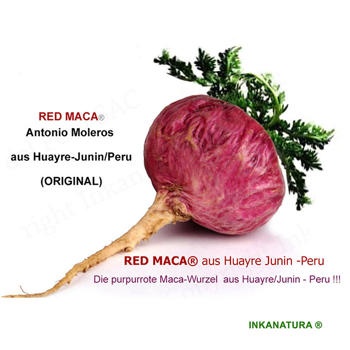 RED MACA