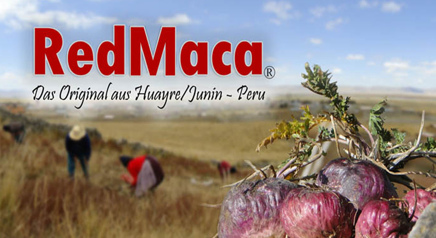 Red Maca