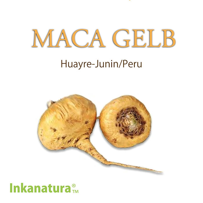 MACA GELB