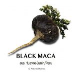 BLACK MACA 270 Stk. Kapseln à 1000mg - Dose